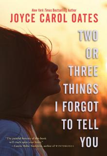 Two or Three Things I Forgot to Tell You Read online