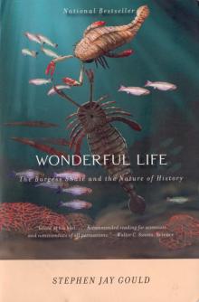 Wonderful Life: The Burgess Shale and the Nature of History Read online