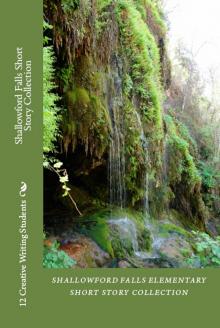 Shallowford Falls Short Story Collection Read online