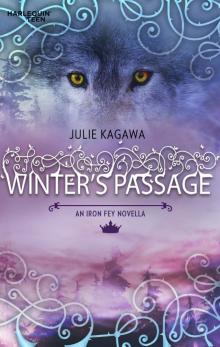 Winters Passage Read online