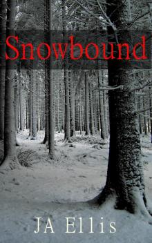 Snowbound Read online