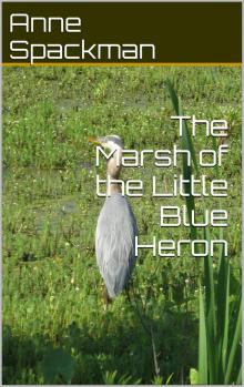 The Marsh of the Little Blue Heron