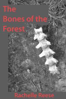 The Bones of the Forest Read online
