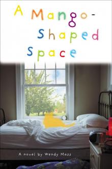 A Mango-Shaped Space Read online
