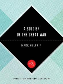 A Soldier of the Great War Read online