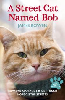 A Street Cat Named Bob Read online