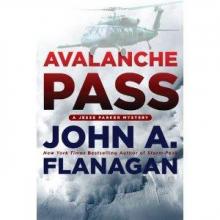 Avalanche Pass Read online