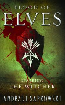 Blood of Elves Read online