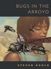 Bugs in the Arroyo Read online