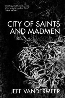 City of Saints and Madmen Read online