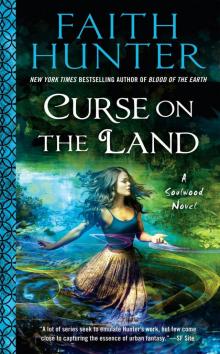Curse on the Land Read online