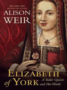 Elizabeth of York: A Tudor Queen and Her World Read online
