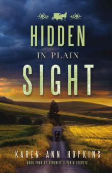 Hidden in Plain Sight Read online