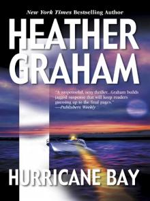 Hurricane Bay Read online