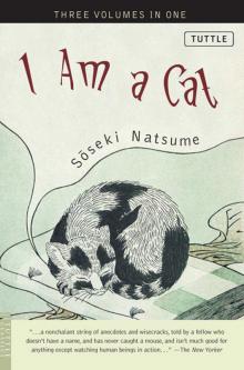 I Am a Cat Read online