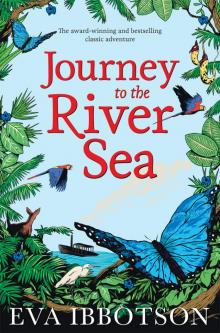 Journey to the River Sea Read online