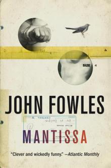 Mantissa Read online