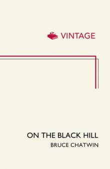 On the Black Hill Read online