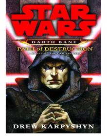 Path of Destruction Read online
