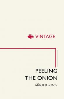 Peeling the Onion Read online