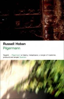 Pilgermann Read online