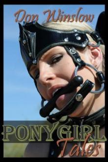 Ponygirl Tales Read online