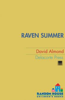 Raven Summer Read online