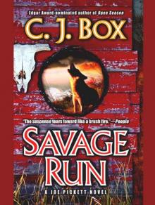 Savage Run Read online