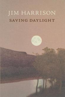 Saving Daylight Read online