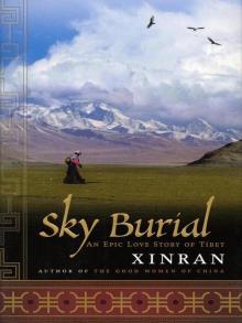 Sky Burial: An Epic Love Story of Tibet Read online