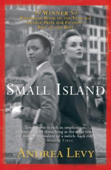 Small Island Read online