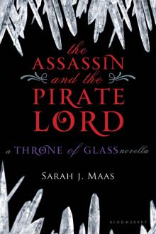 The Assassin and the Pirate Lord Read online