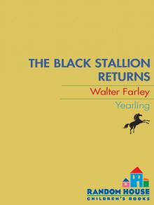 The Black Stallion Returns Read online
