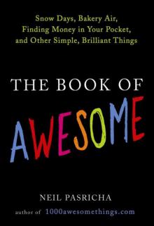 The Book of Awesome Read online
