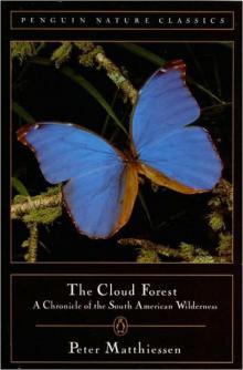 The Cloud Forest Read online