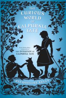 The Curious World of Calpurnia Tate Read online