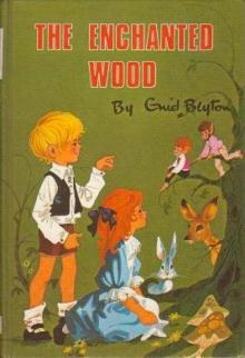 The Enchanted Wood Read online