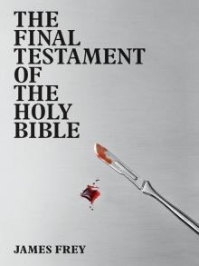The Final Testament of the Holy Bible Read online