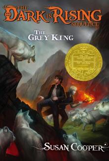The Grey King Read online