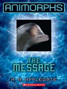 The Message Read online