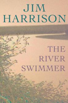 The River Swimmer: Novellas Read online