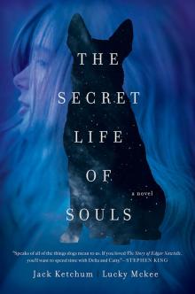 The Secret Life of Souls Read online