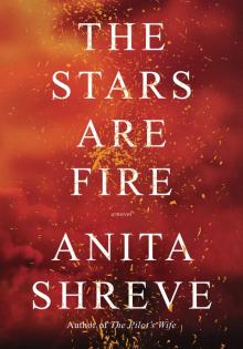 The Stars Are Fire Read online