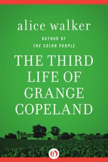 The Third Life of Grange Copeland Read online