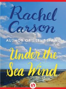Under the Sea Wind Read online