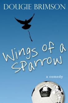 Wings of a Sparrow Read online
