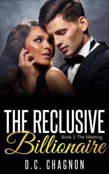 The Reclusive Billionaire, Book One: The Meeting
