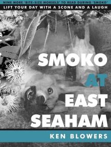 Smoko At East Seaham Read online