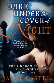 Dark Under the Cover of Night Read online