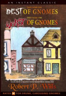 Tales From a Second Hand Wand Shop- Book 1: They Were the Best of Gnomes. They Were the Worst of Gnomes.